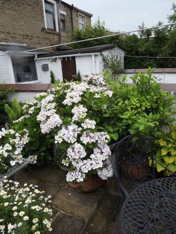 BarrowfordBestKeptGardens2019_132_25pc