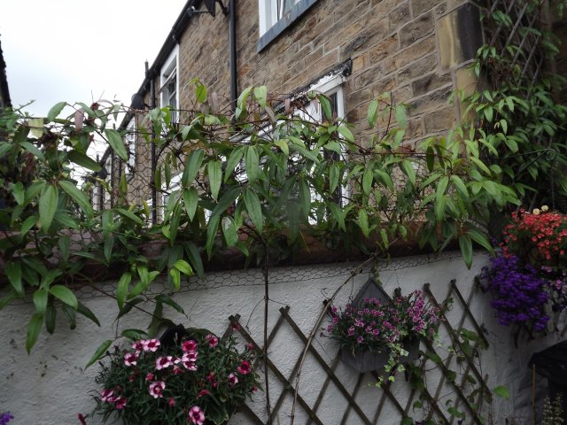 BarrowfordBestKeptGardens2019_195_25pc