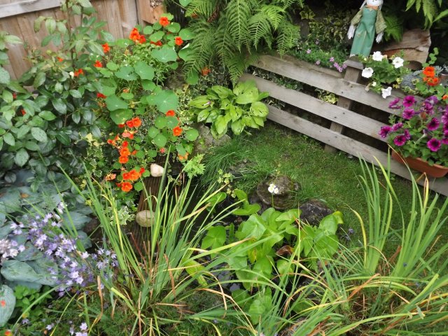 BarrowfordBestKeptGardens2019_208_25pc