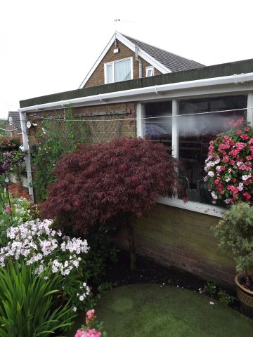 BarrowfordBestKeptGardens2019_221_25pc