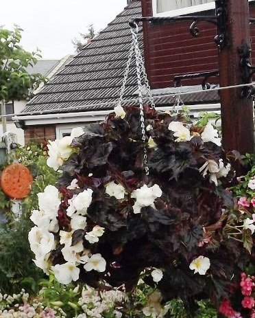 BarrowfordBestKeptGardens2019_222_25pc2