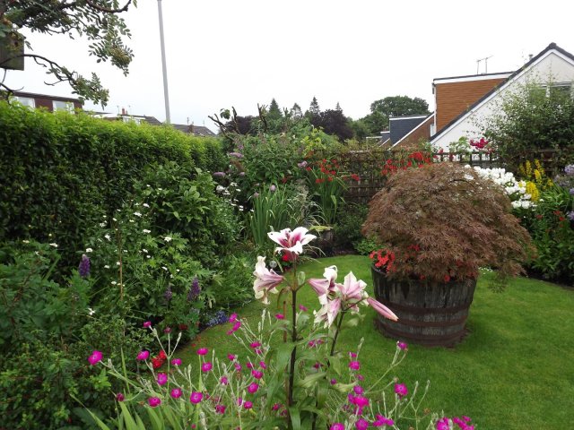 BarrowfordBestKeptGardens2019_227_25pc