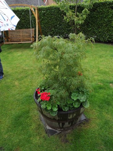 BarrowfordBestKeptGardens2019_231_25pc