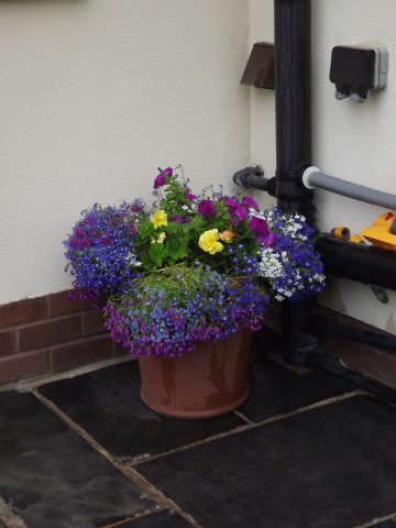 BarrowfordBestKeptGardens2019_236_25pc