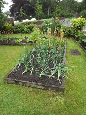 BarrowfordBestKeptGardens2019_241_25pc