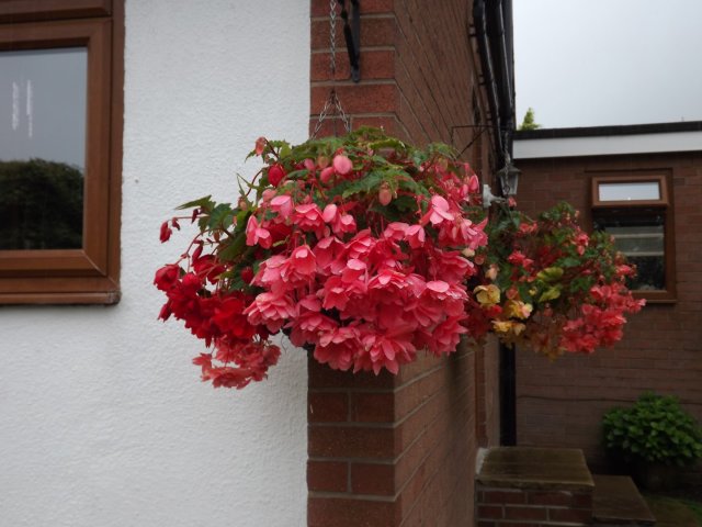 BarrowfordBestKeptGardens2019_244_25pc