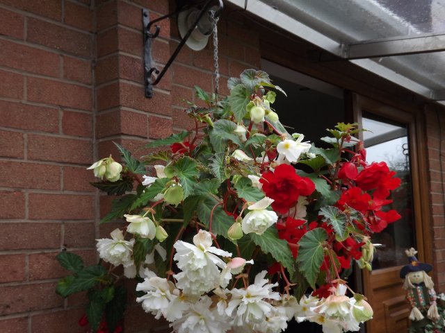 BarrowfordBestKeptGardens2019_250_25pc