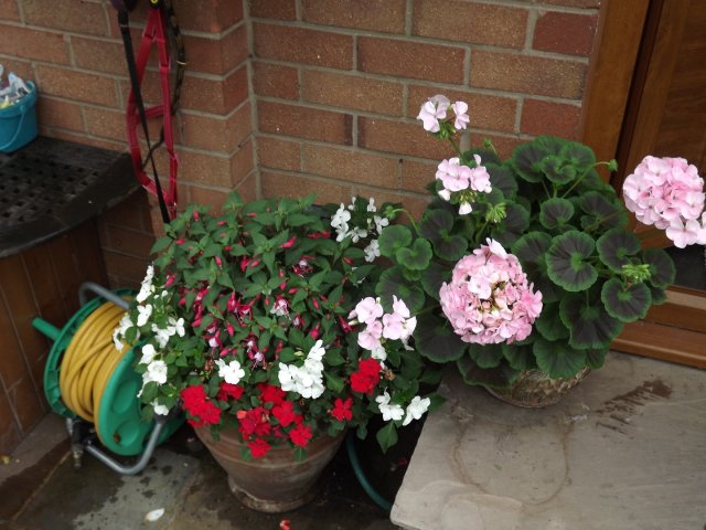 BarrowfordBestKeptGardens2019_255_25pc