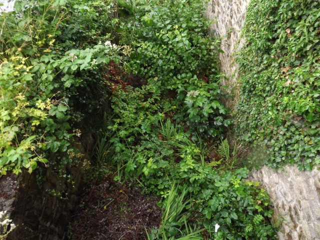 BarrowfordBestKeptGardens2019_283_25pc