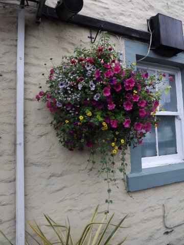 BarrowfordBestKeptGardens2019_287_25pc