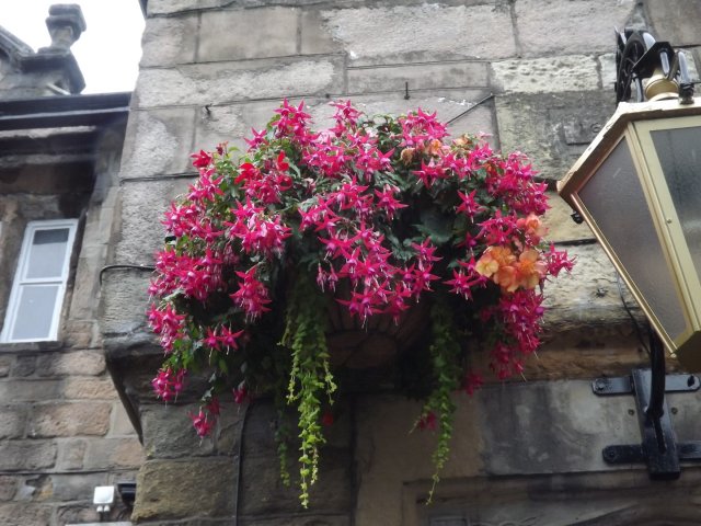 BarrowfordBestKeptGardens2019_299_25pc