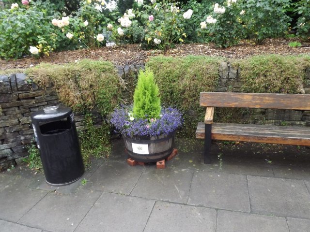 BarrowfordBestKeptGardens2019_311_25pc