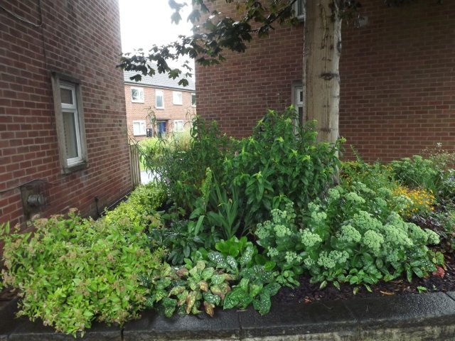 BarrowfordBestKeptGardens2019_314_25pc