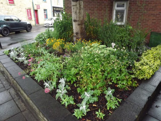 BarrowfordBestKeptGardens2019_317_25pc