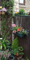 BarrowfordBestKeptGardens2019_124_25pc