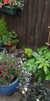 BarrowfordBestKeptGardens2019_125_25pc