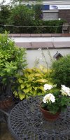 BarrowfordBestKeptGardens2019_140_25pc
