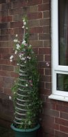 BarrowfordBestKeptGardens2019_151_25pc