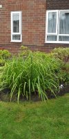 BarrowfordBestKeptGardens2019_156_25pc