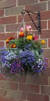 BarrowfordBestKeptGardens2019_173_25pc