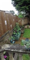 BarrowfordBestKeptGardens2019_320_25pc