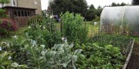BarrowfordBestKeptGardens2019_103_25pc