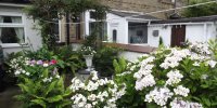 BarrowfordBestKeptGardens2019_131_25pc