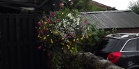 BarrowfordBestKeptGardens2019_291_25pc