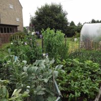 BarrowfordBestKeptGardens2019_103_25pc