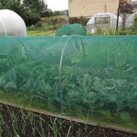 BarrowfordBestKeptGardens2019_106_25pc