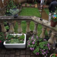BarrowfordBestKeptGardens2019_319_25pc
