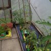 BarrowfordBestKeptGardens2019_093_25pc