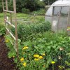 BarrowfordBestKeptGardens2019_115_25pc