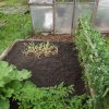 BarrowfordBestKeptGardens2019_116_25pc