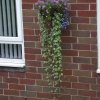 BarrowfordBestKeptGardens2019_171_25pc