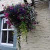 BarrowfordBestKeptGardens2019_286_25pc
